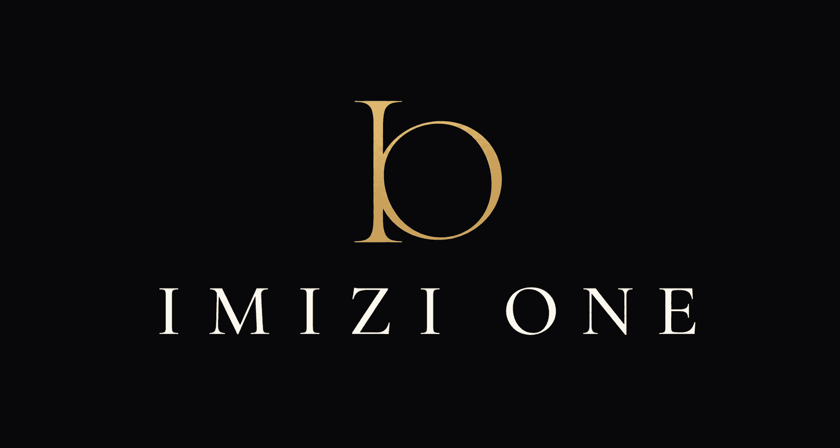 IMIZI ONE